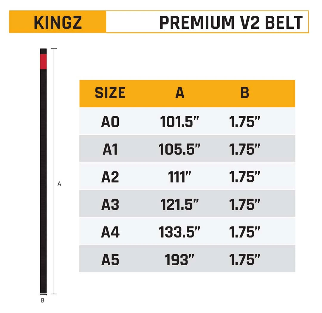 Kingz Cinturón Absolute Premium Morado - Imagen 3